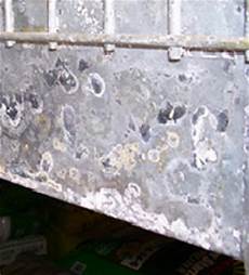 Galvanized Zinc Coating